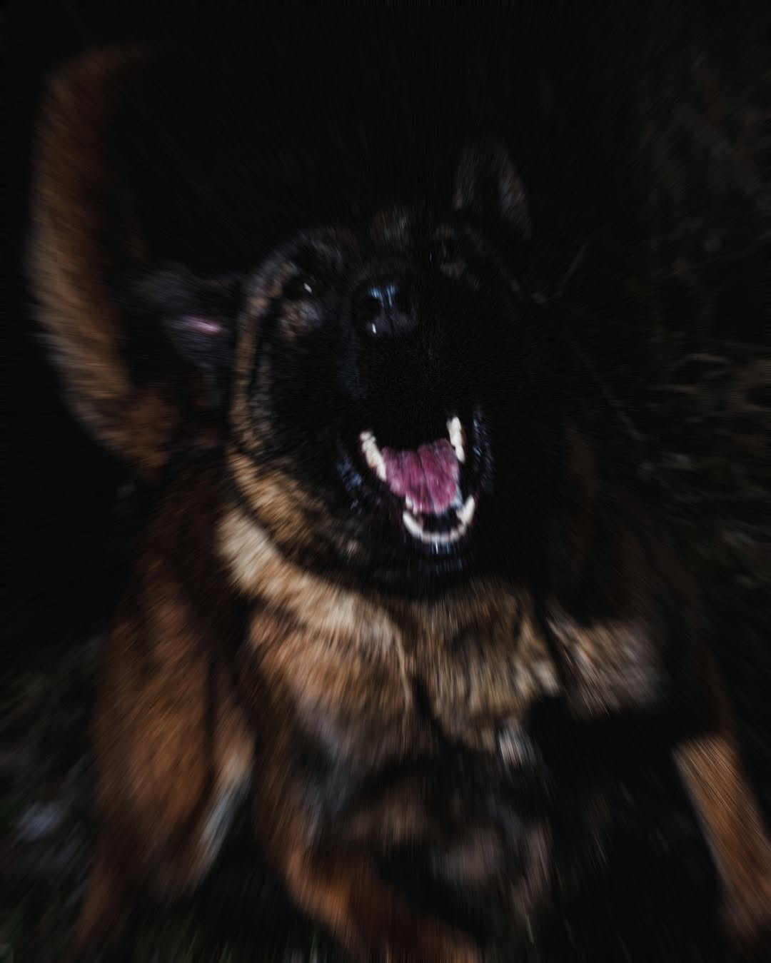 Work by Charlie, Fotógrafo, in Londres