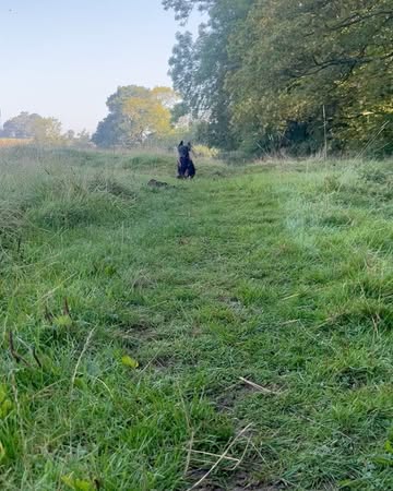 Work by IT'S THE EV-E, Set Ontwerper, in Londen