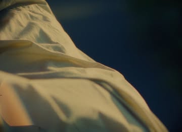 Work by Tiz W. S., Directeur, in Londen