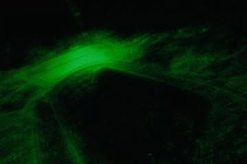 Work by X Z, Director Creativo, in Londres