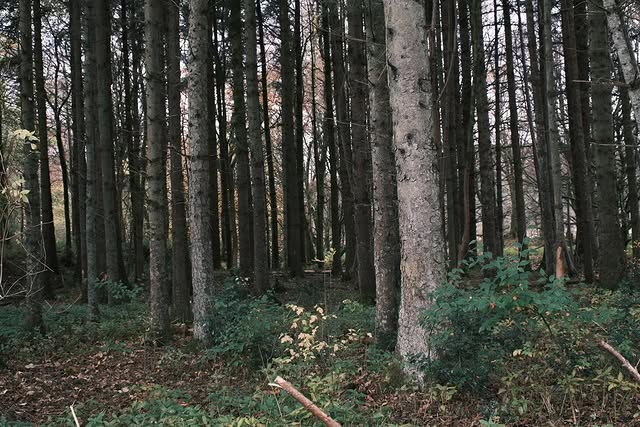 Work by Maya Civval, Diseñador de Escenografía, in Londres