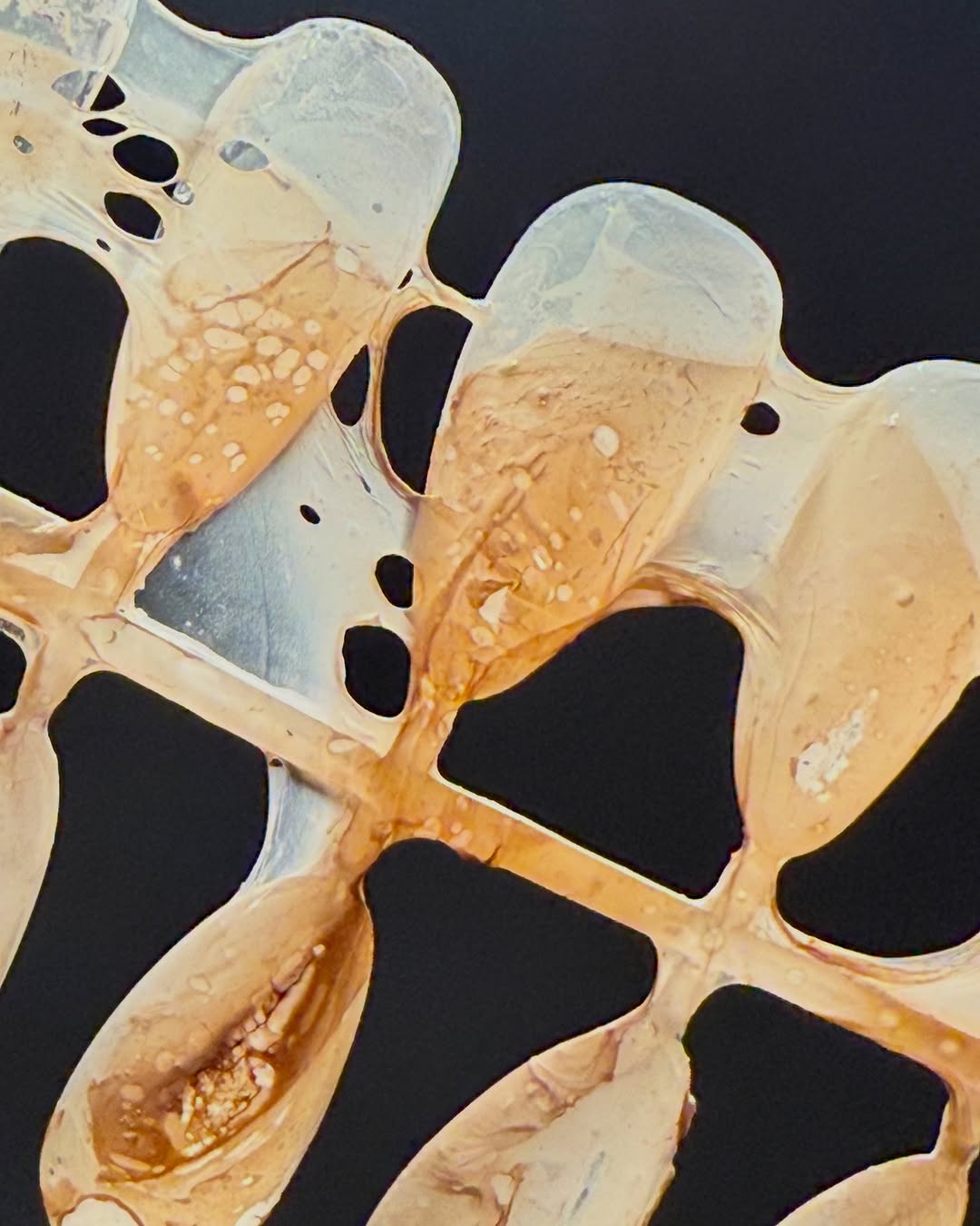 Work by Liia Zotova 🇺🇦, Maquillador, in Londres