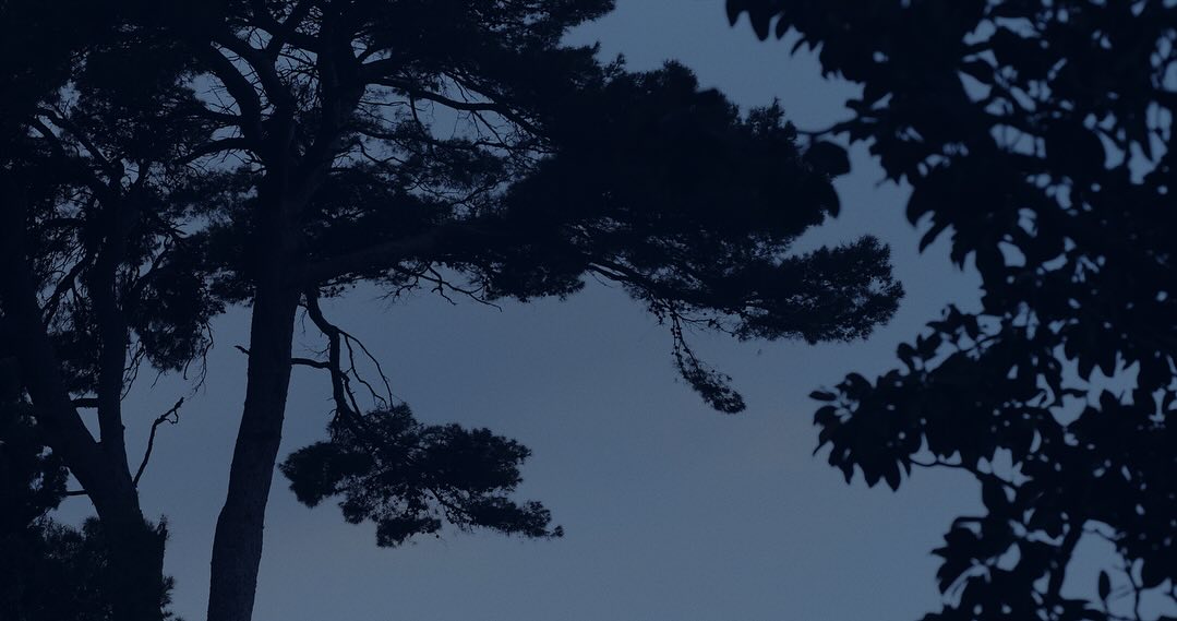 Work by Martin Alejandro Eito, Fotograaf, in Londen