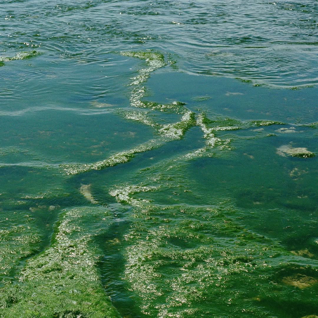 Work by AruiLin, Fotograaf, in Londen