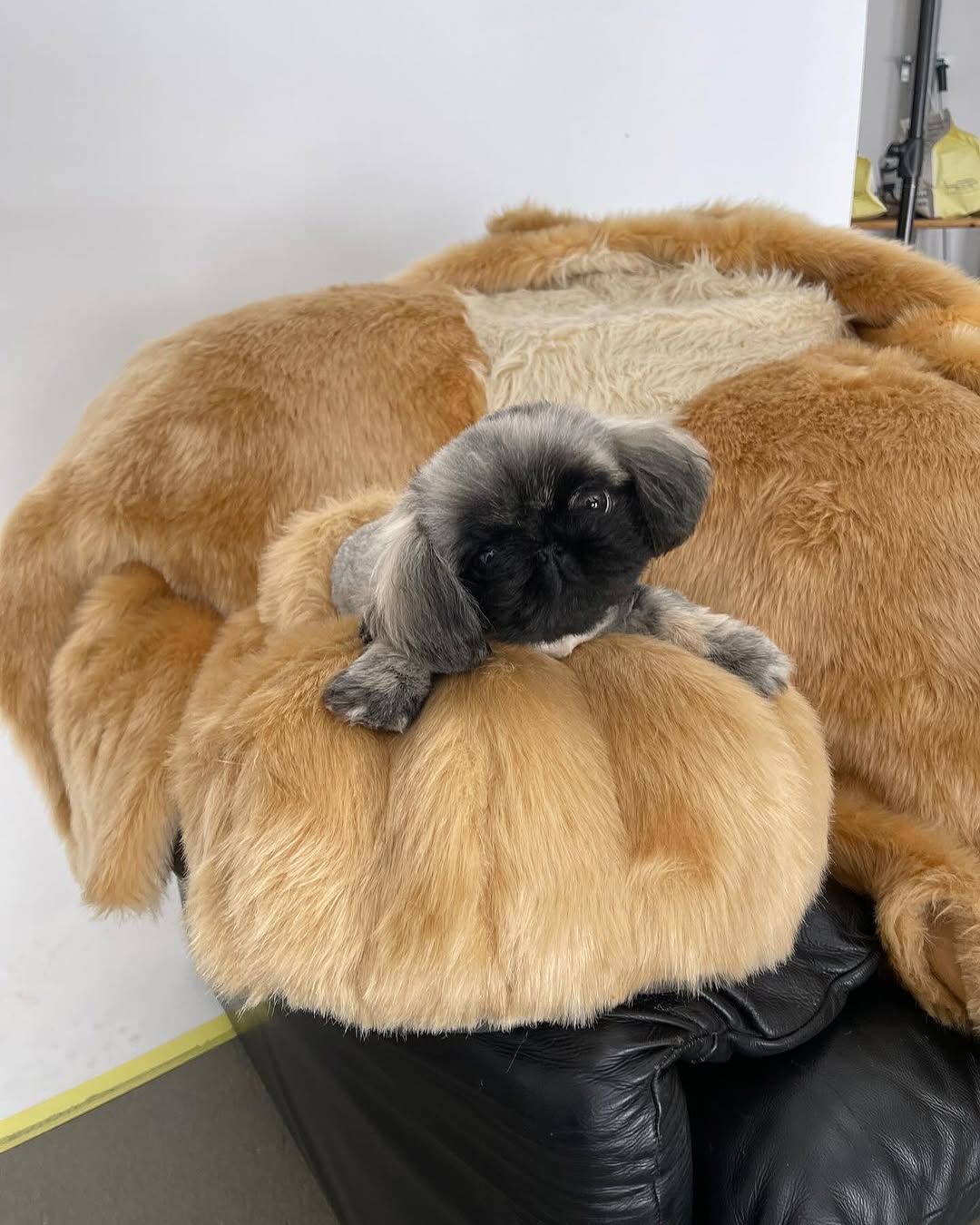 Work by Claire Rothstein 📸📸, Fotógrafo, in Londres