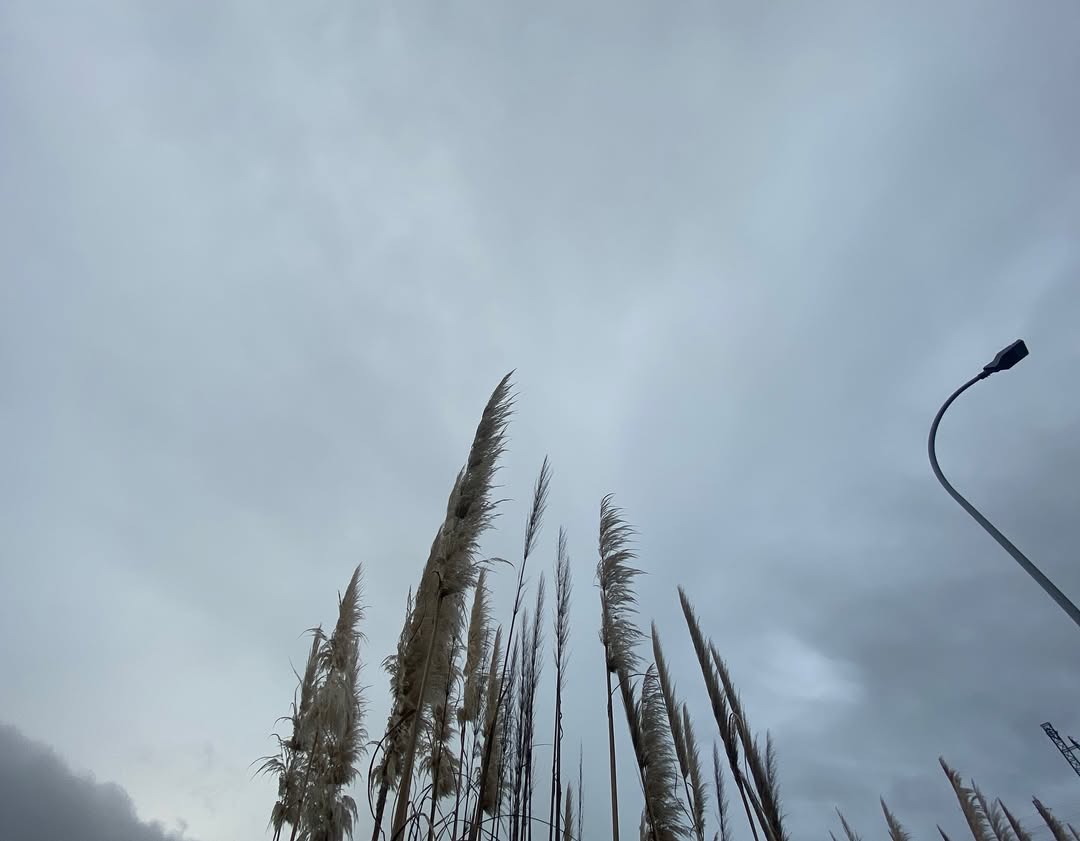 Work by henrykitcher, Modelo, in Londres