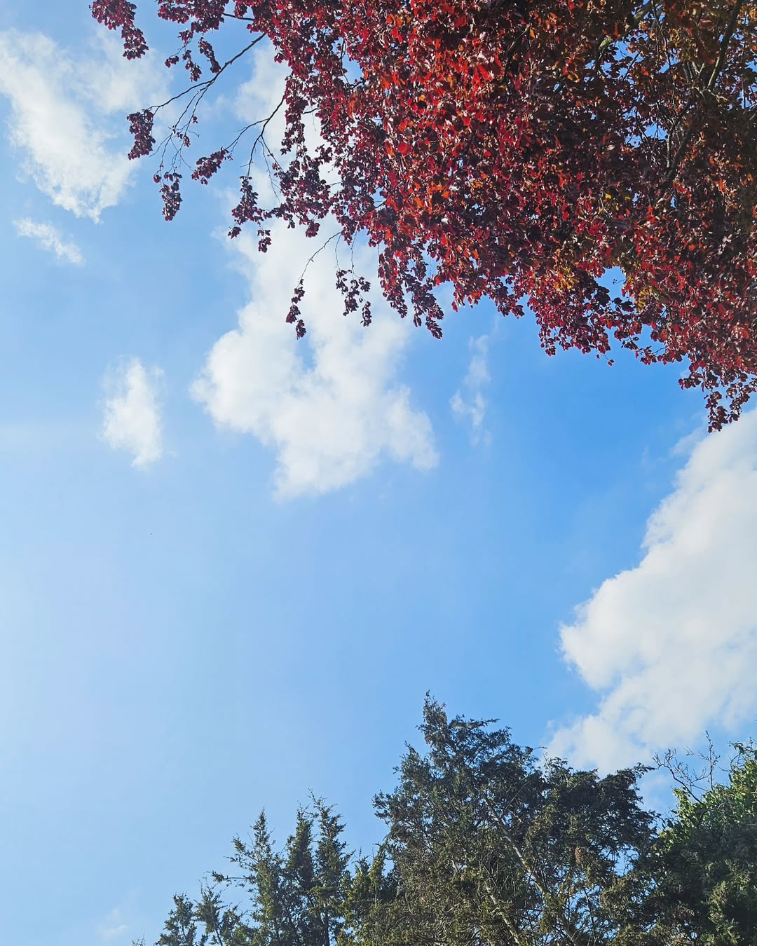 Work by Salina Thind, Maquillador, in Londres