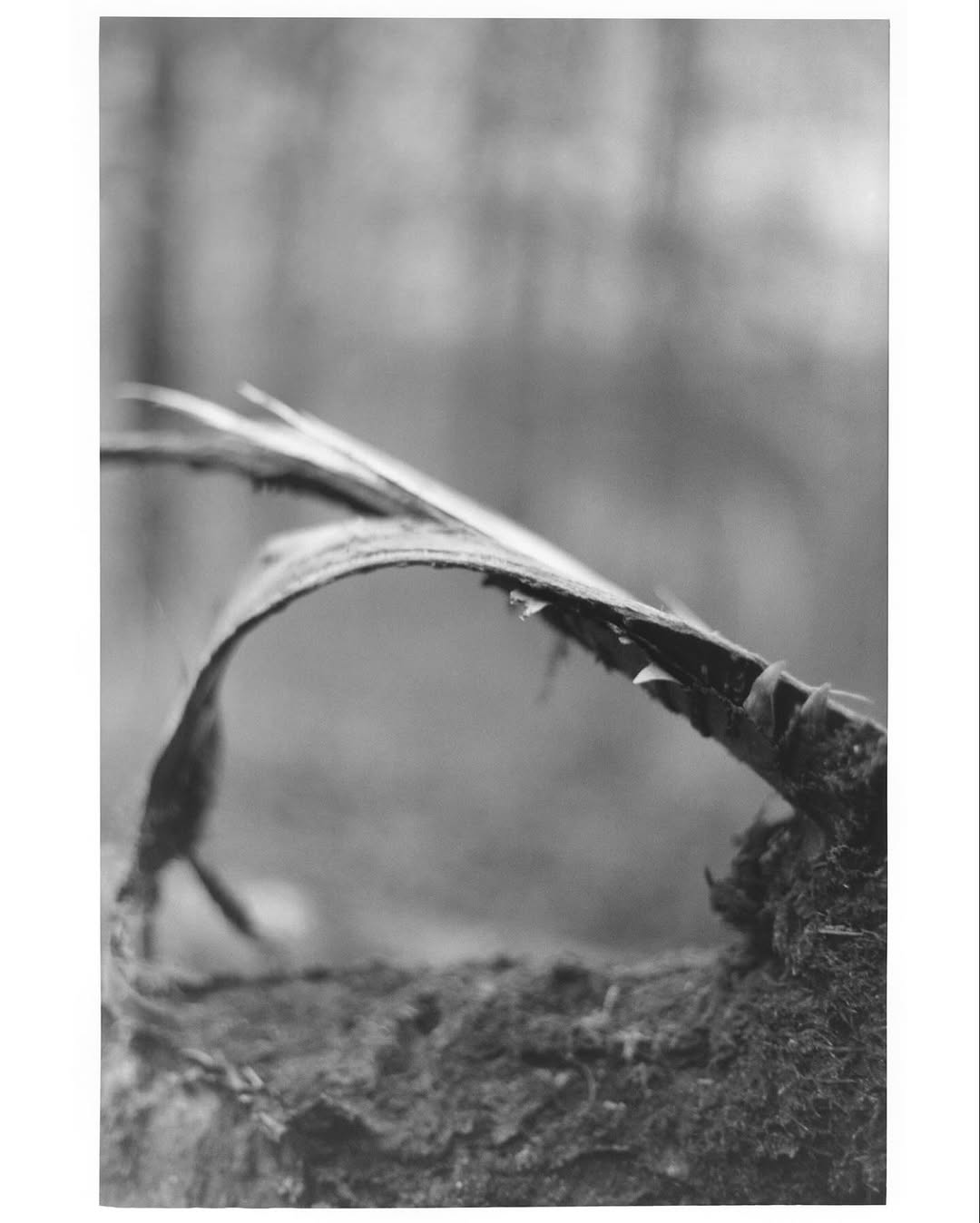 Work by ryannealskelton, Fotograaf, in Londen