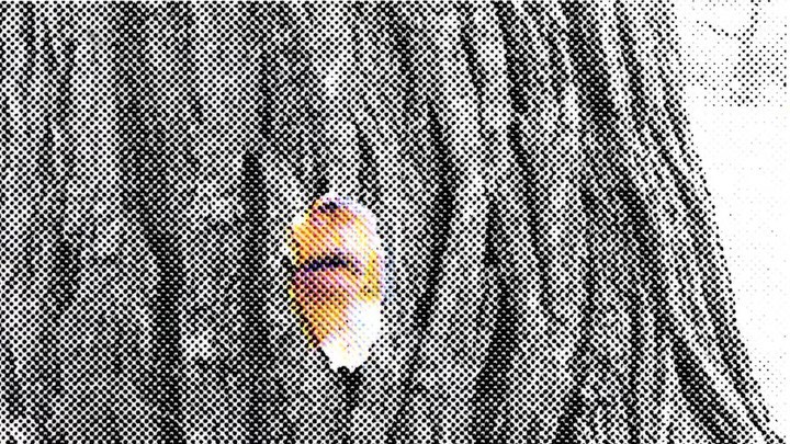 Work by Bug Fernandez, Illustrator, in Londen