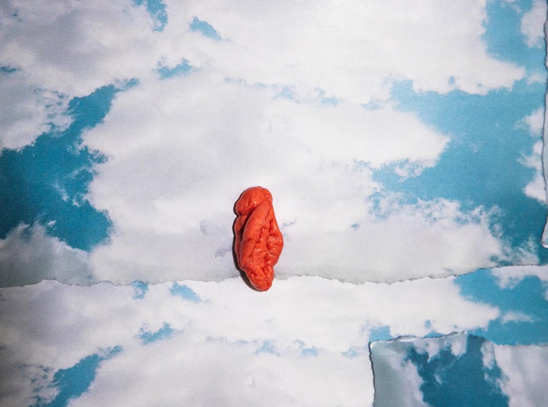 Work by Bug Fernandez, Stylist, in Londen