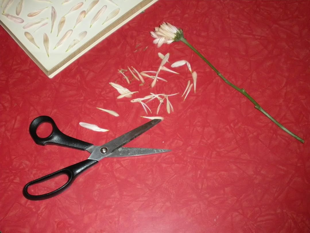 Work by Bug Fernandez, Estilista, in Londres