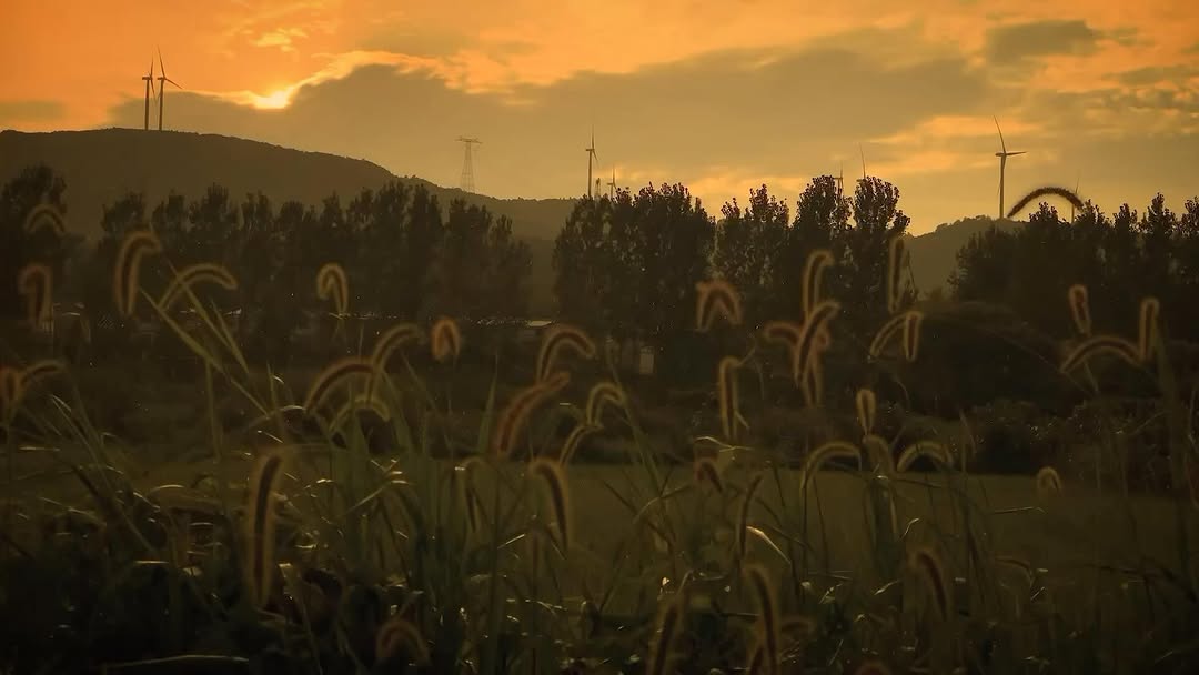 Work by Yingwei Tang, Fotograaf, in Londen