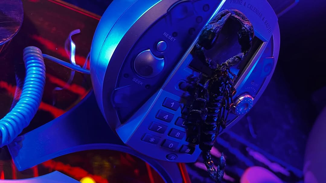 Work by ☆ Naya daydream ♡ ꔫ ☆, Director Creativo, in Londres