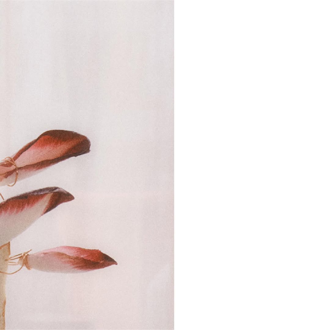 Work by Paola de Crudo, Set Ontwerper, in Londen