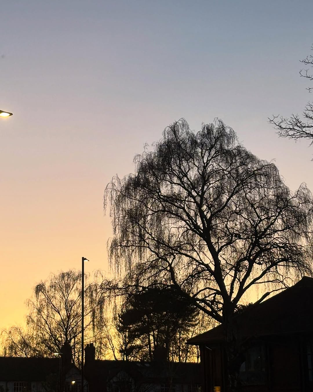 Work by tosca mendes###, Model, in Londen