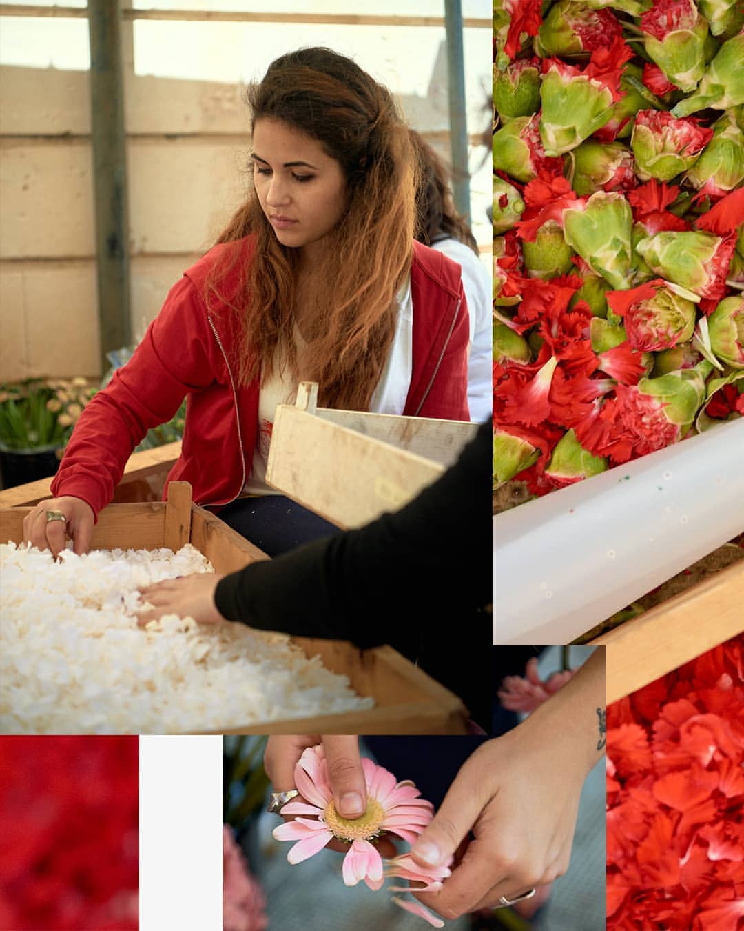 Work by Isaak Hest, Ilustrador, in Londres