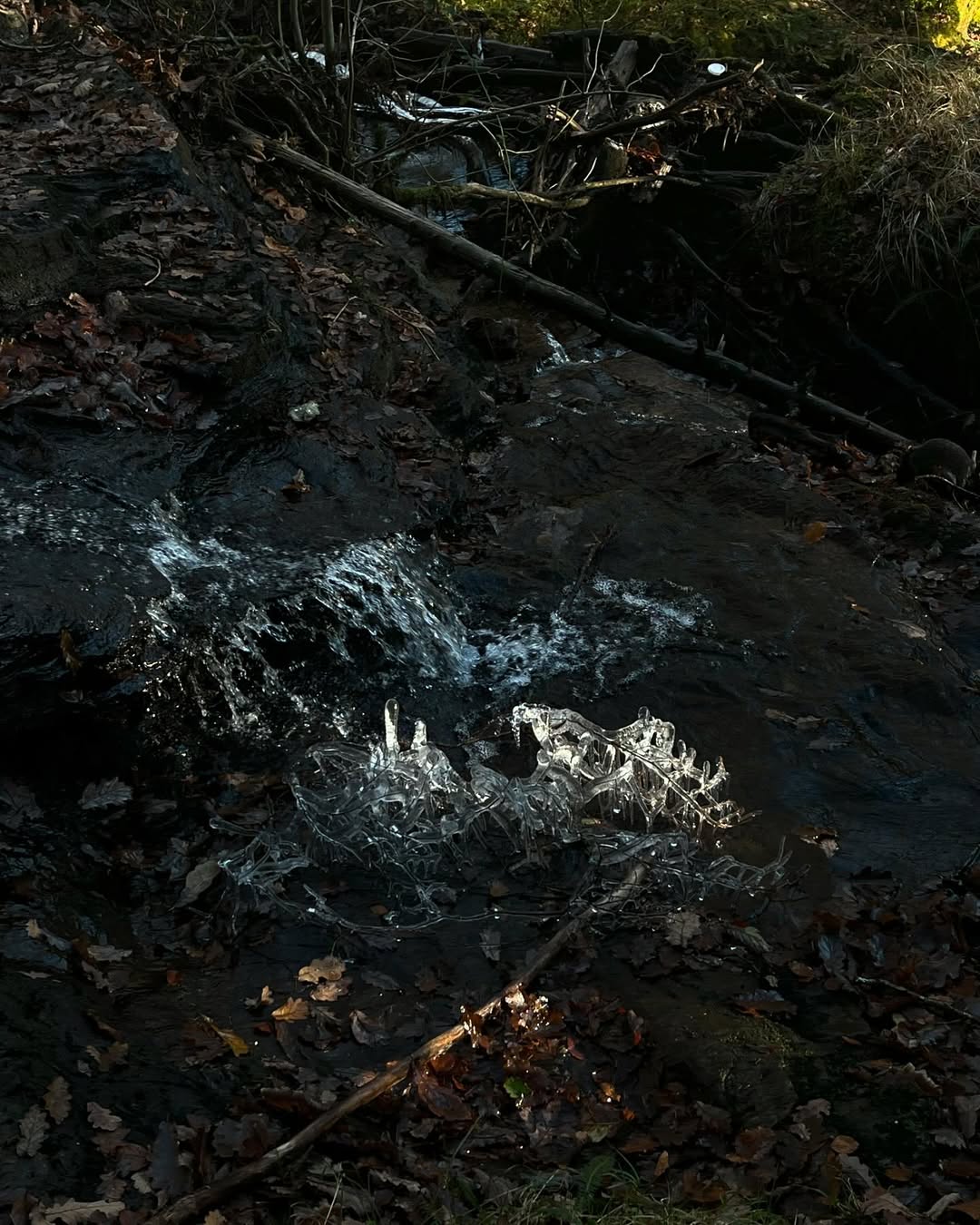 Work by inga tilda, Diseñador de Escenografía, in Londres