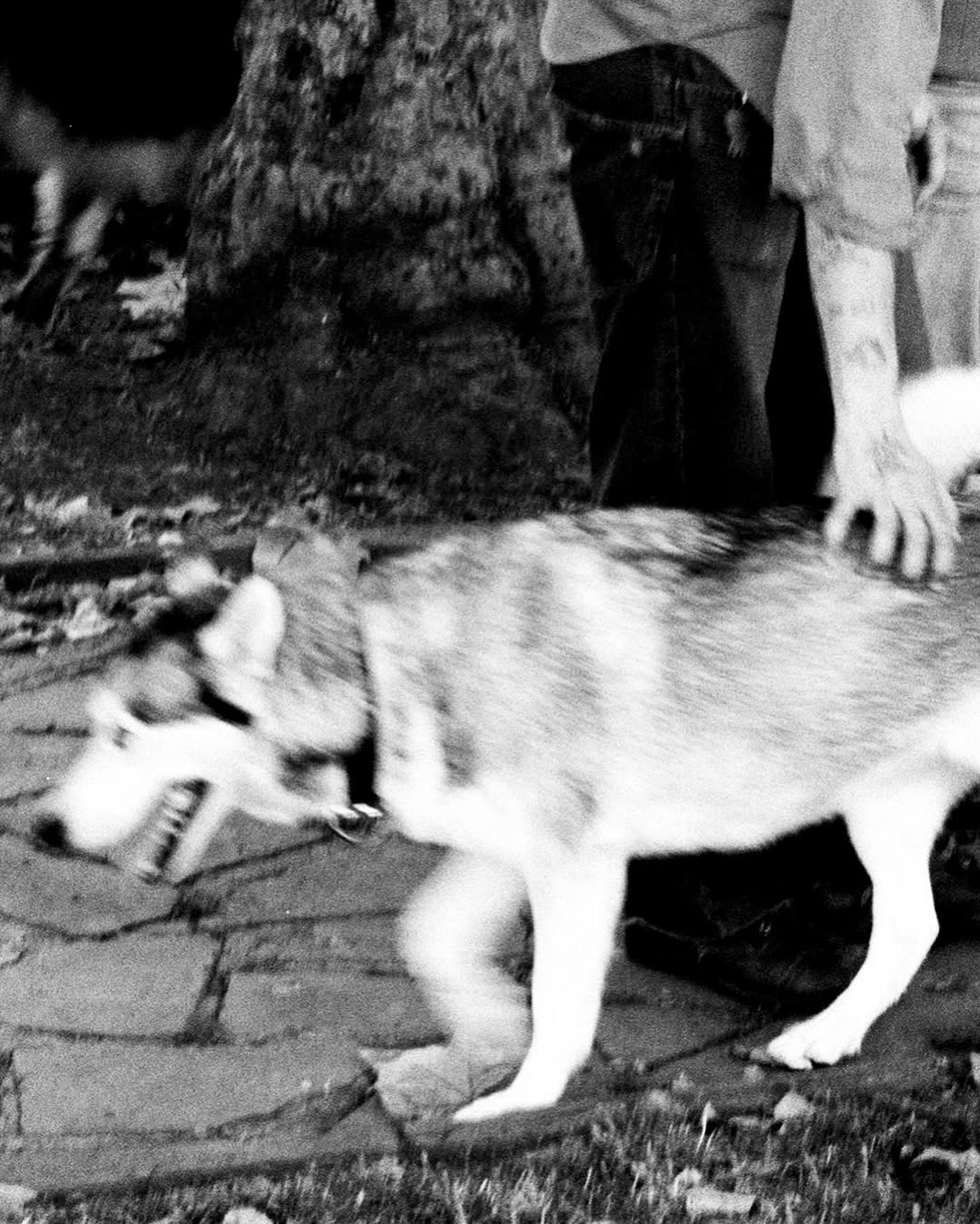 Work by beth 🍰, Fotógrafo, in Londres