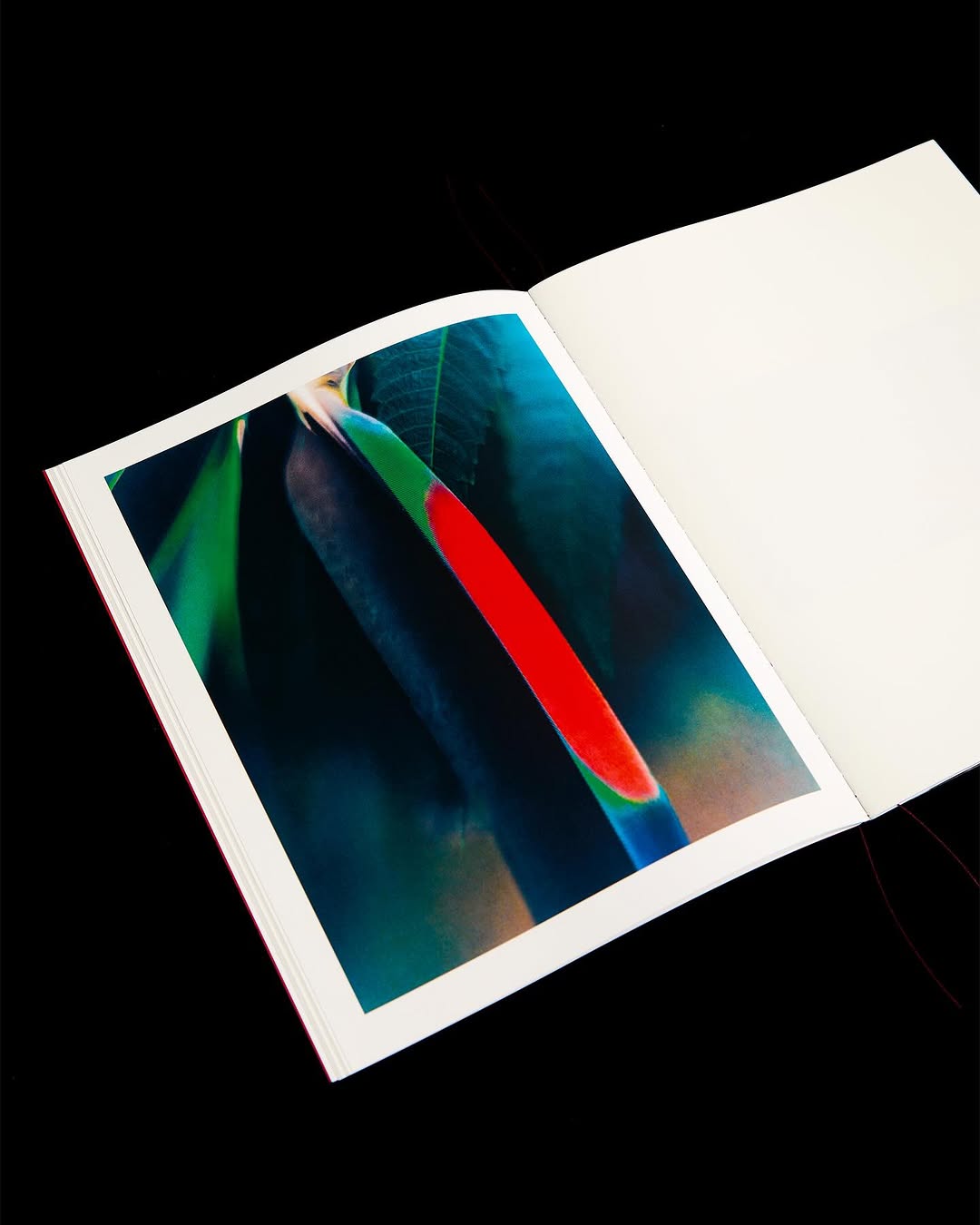 Work by Suleika Mueller, Ilustrador, in Londres