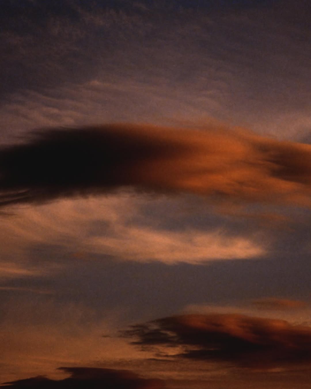 Work by Suleika Mueller, Fotógrafo, in Londres