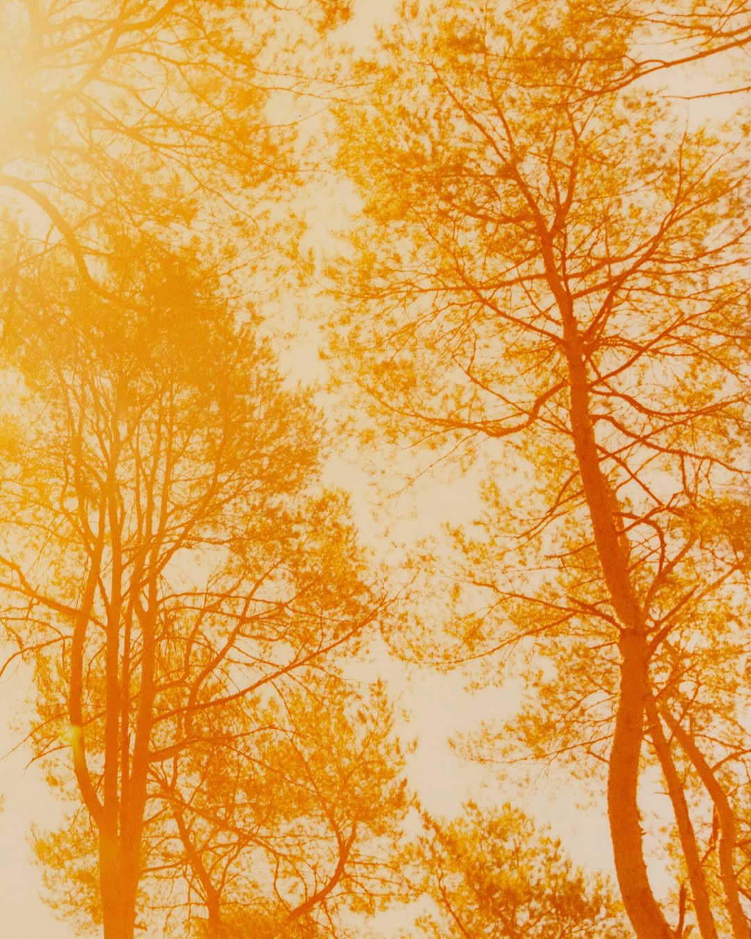 Work by Suleika Mueller, Fotograaf, in Londen