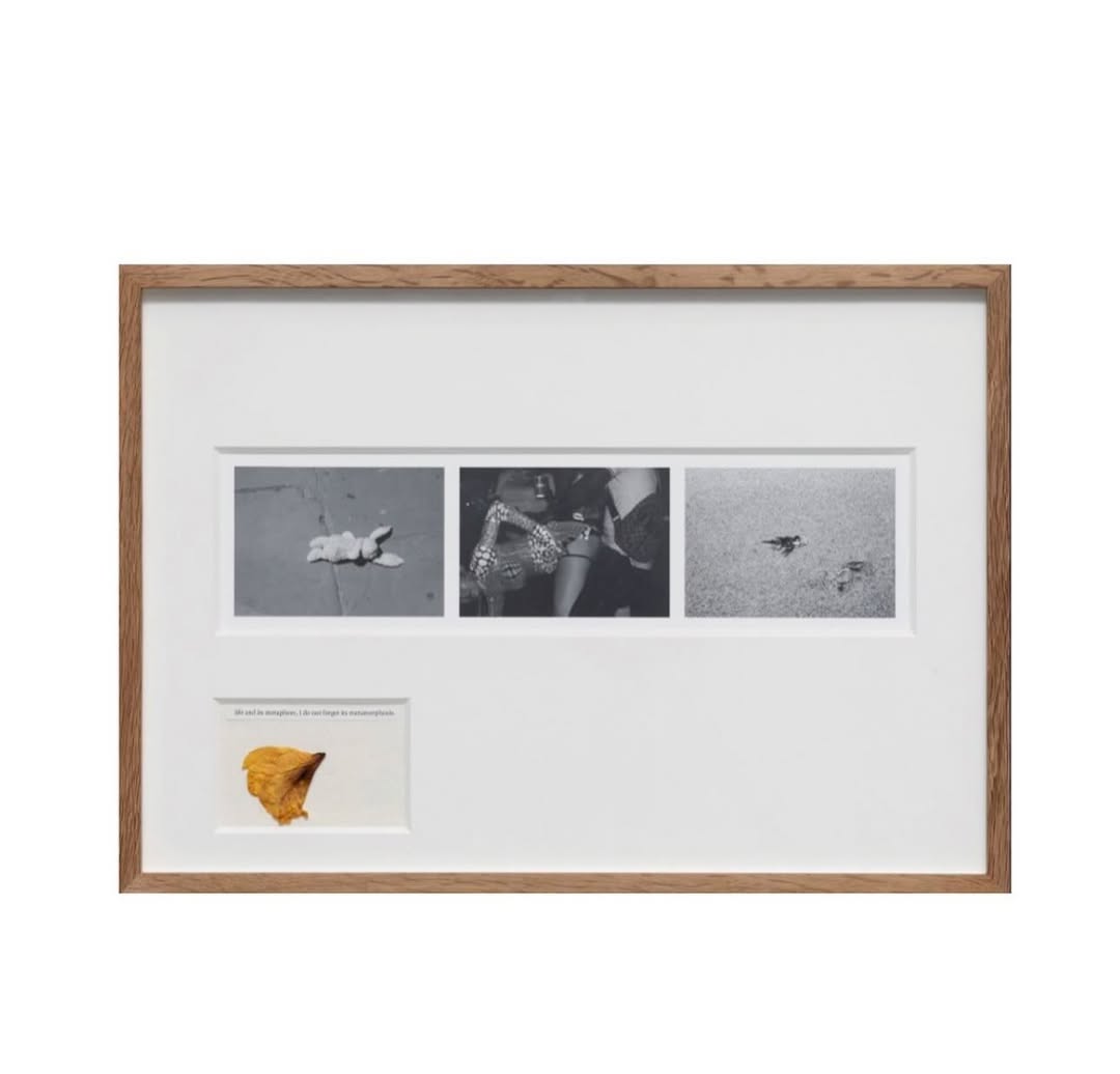 Work by Amber Pinkerton, Ilustrador, in Londres