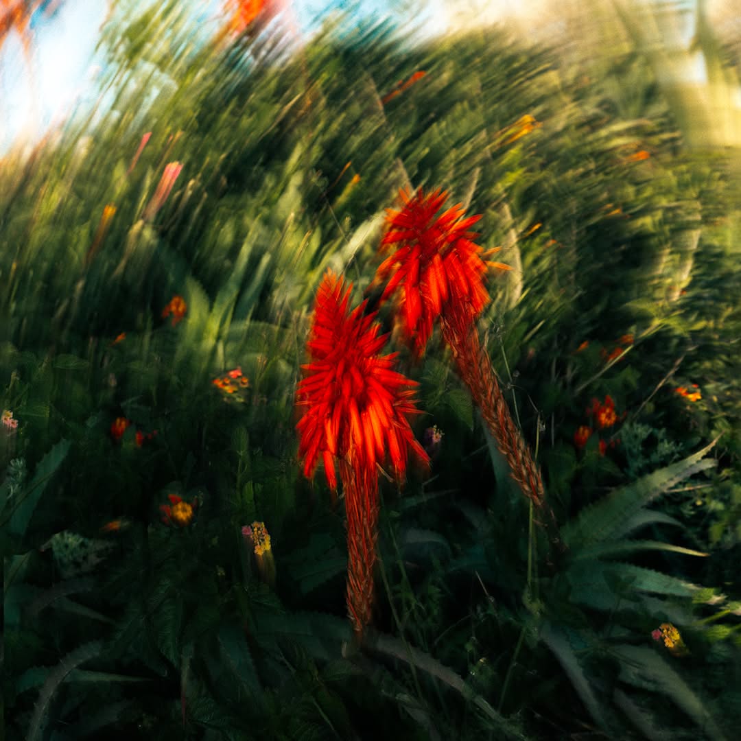 Work by Carlos Jimenez, Illustrator, in Londen