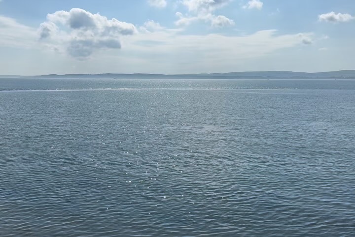 Work by Vivien Solari, Modelo, in Londres