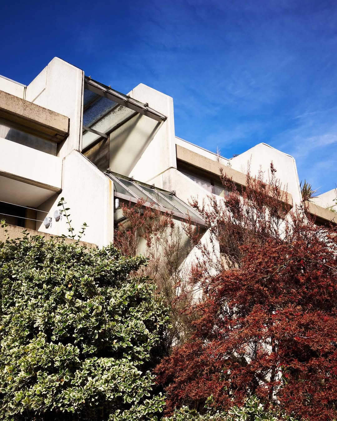 Work by Oscar Spyrou, Fotógrafo, in Londres