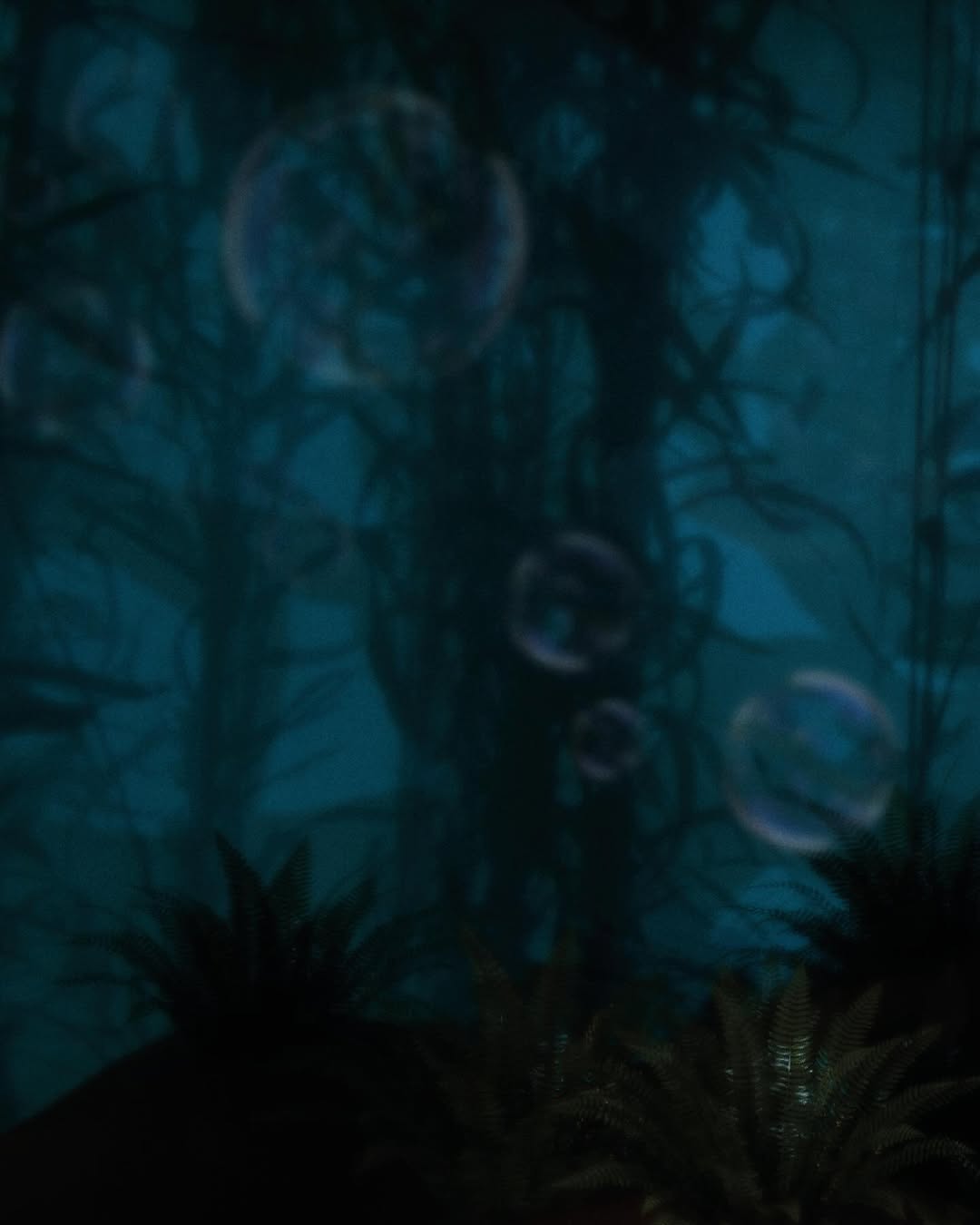 Work by Julia Did It, Fotograaf, in Londen