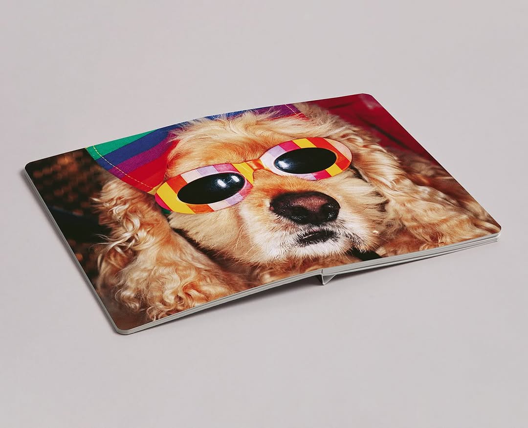 Work by Martin Parr, Fotógrafo, in Londres