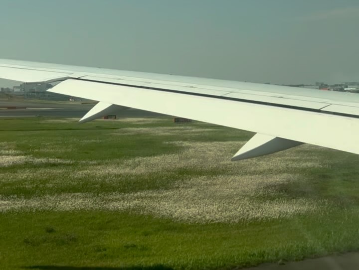 Work by Sarah Wilson, Fotógrafo, in Londres