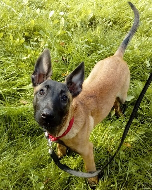 Work by Guste Vaivilaviciute, Fotógrafo, in Londres