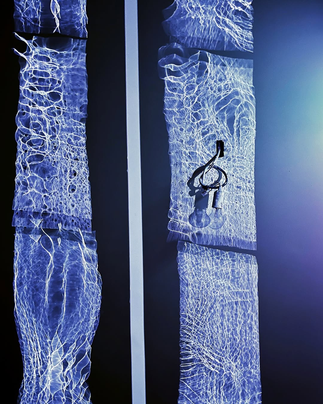 Work by Andrew Edwards, Fotograaf, in Londen