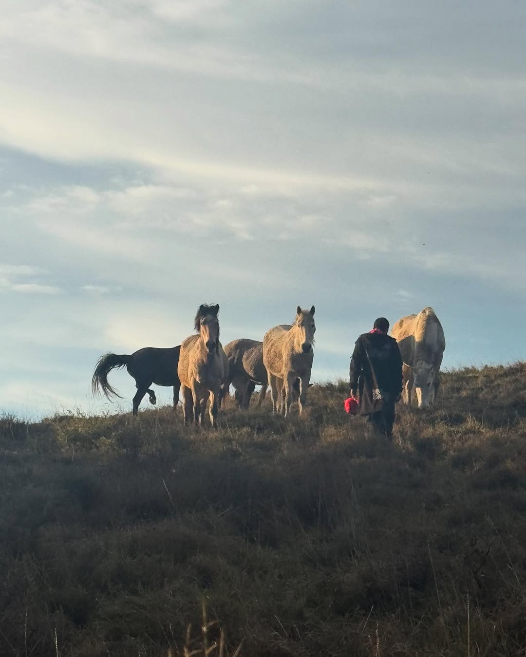 Work by BINA., Modelo, in Londres