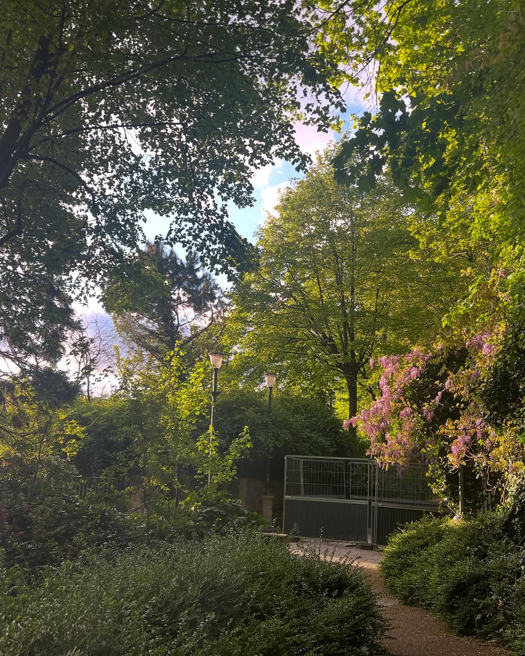 Work by Celeste, Model, in Londen