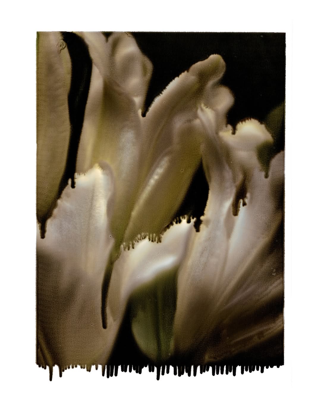 Work by Bart Pajak, Illustrator, in London