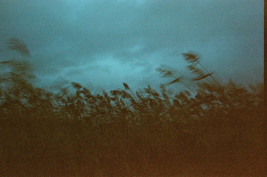 Work by Asher Herr, Illustrator, in Londen