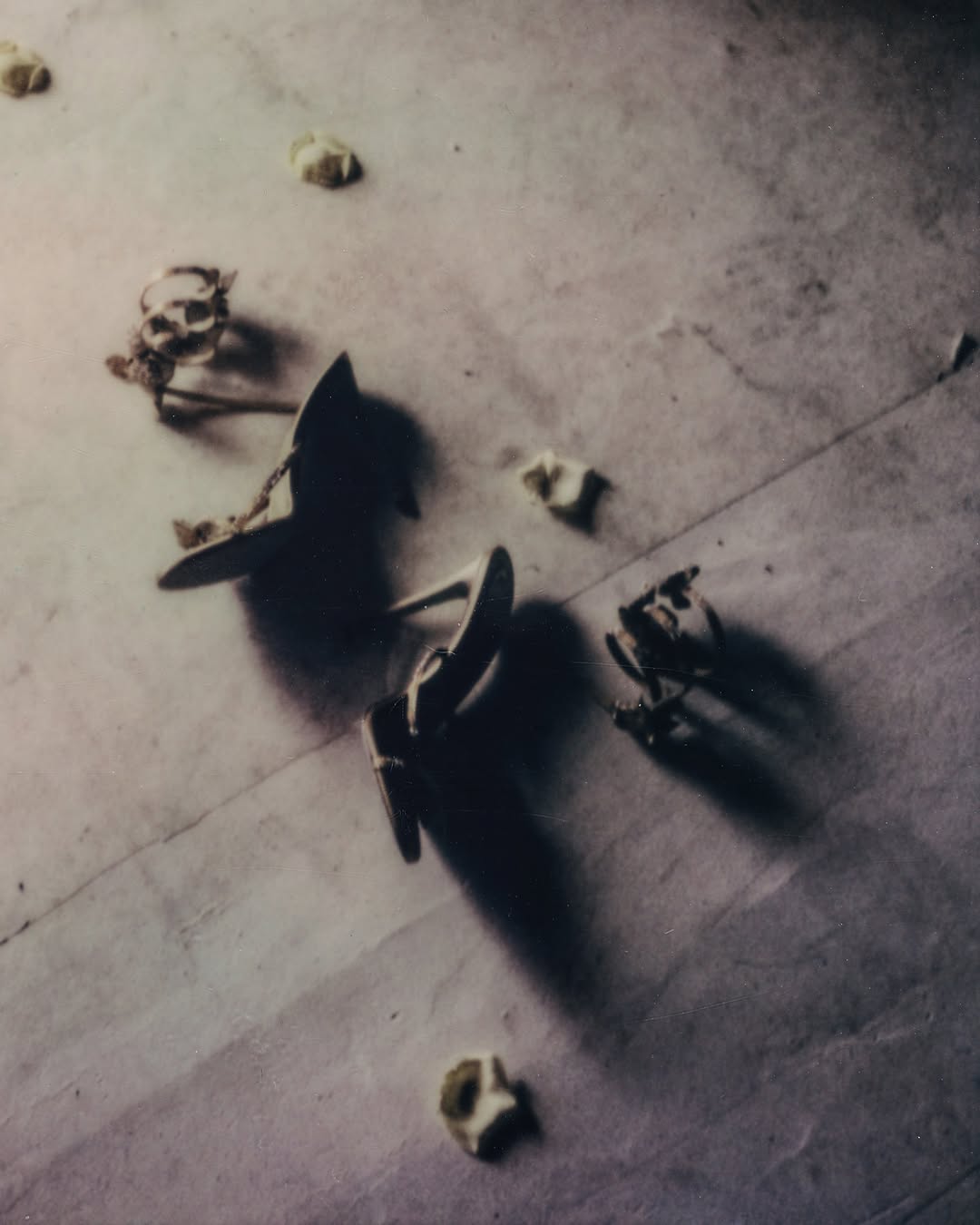 Work by Rayan Nohra, Fotograaf, in Londen