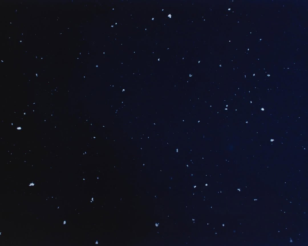 Work by Jamie Salmons, Fotógrafo, in Londres