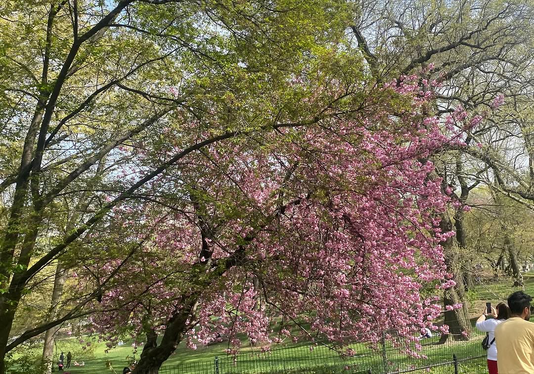 Work by ᴊᴀᴍɪᴇ ᴄᴀᴍᴘʙᴇʟʟ ʙᴏᴡᴇʀ, Model, in Londen