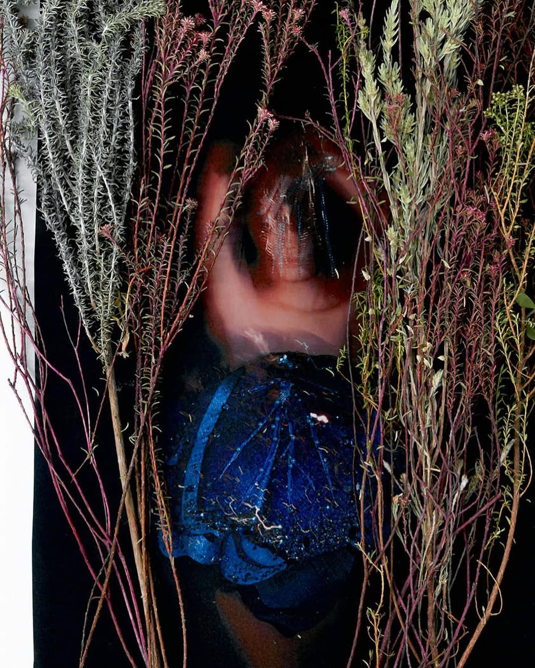 Work by Miran Hong, Fotograaf, in Londen