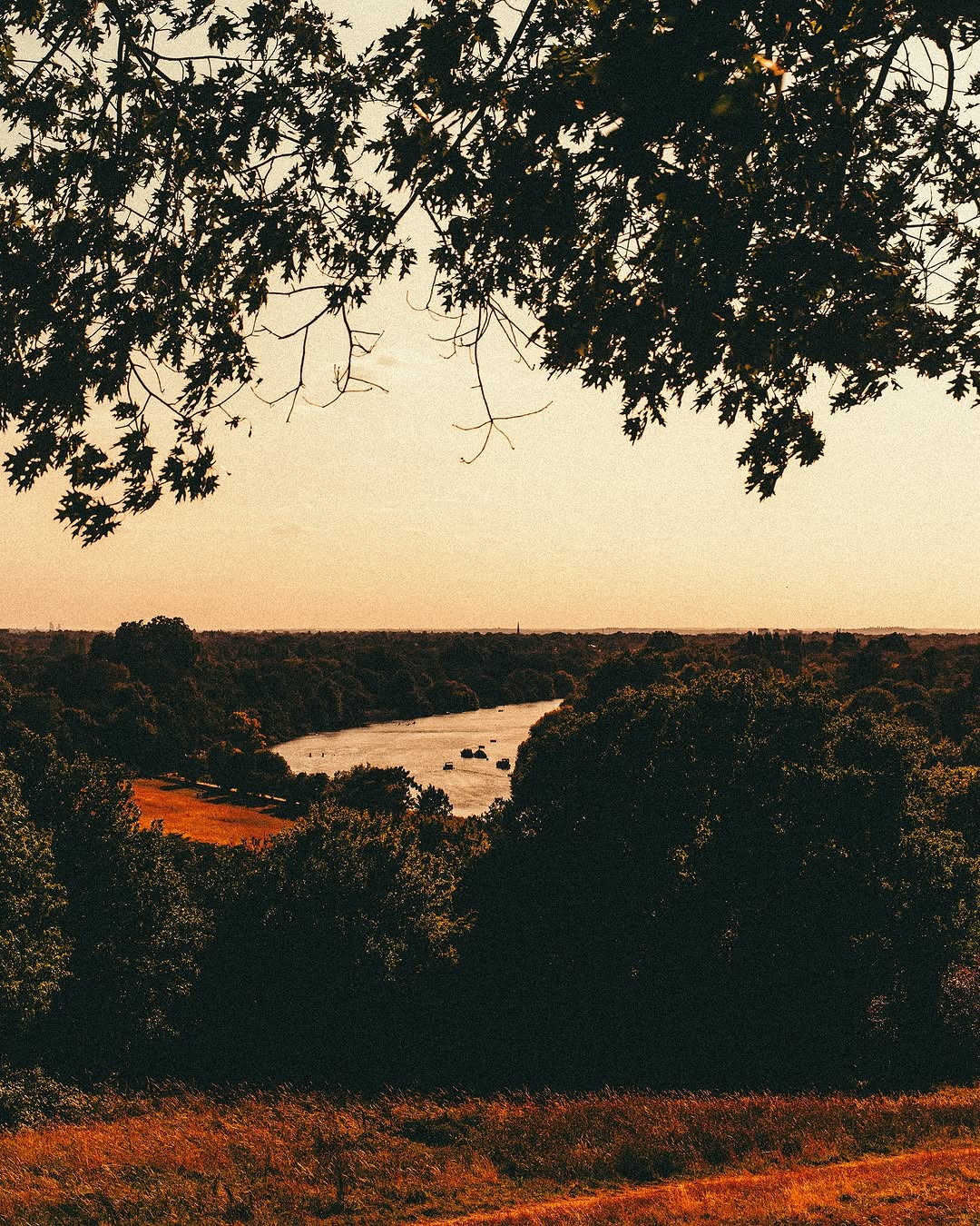 Work by 𝑮𝑰𝑨𝑵𝑴𝑨𝑹𝑪𝑶, Fotograaf, in Londen