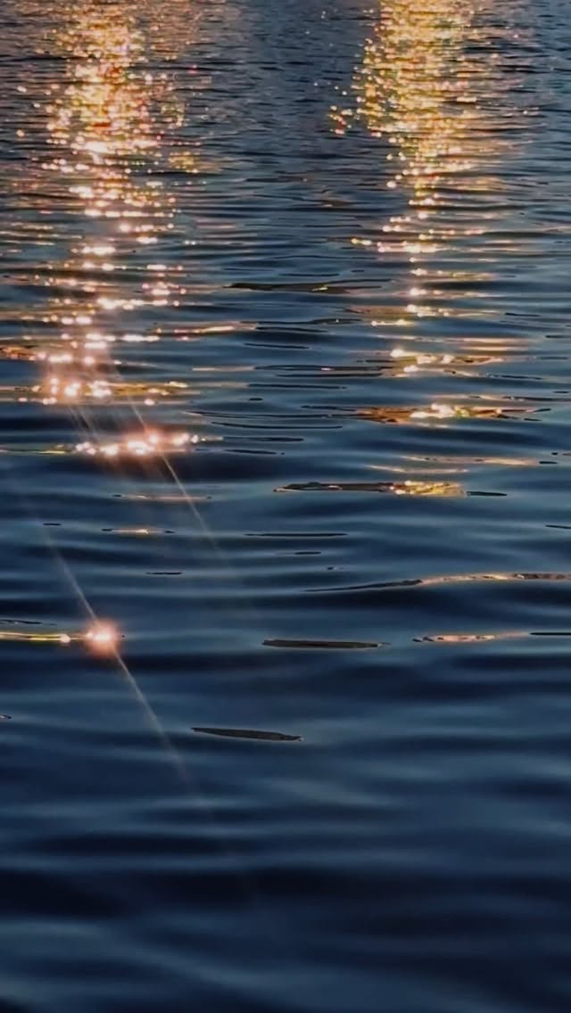 Work by Sandra Nagel ★ Photographer, Fotograf, in London