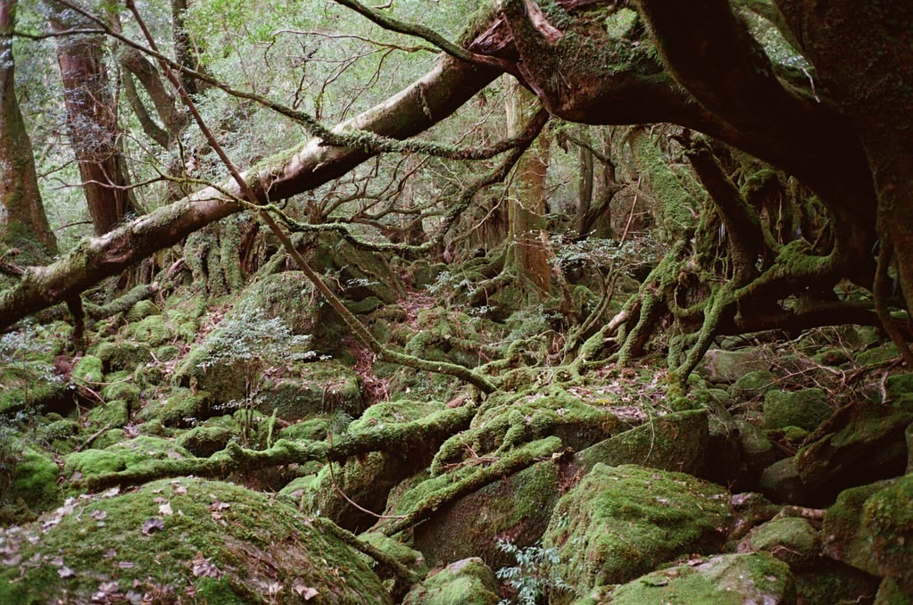 Work by Ekaterina Bazhenova-Yamasaki, Art Director, in Londen