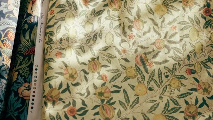 Work by Milo Jack Paris Hutchings, Illustrator, in Londen