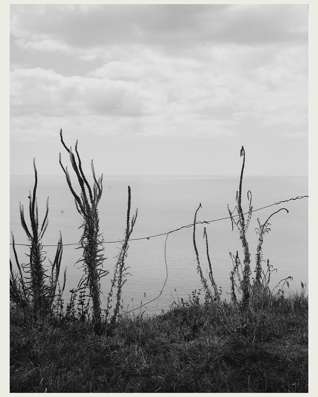 Work by Mark Anthony Fox, Illustrator, in Londen