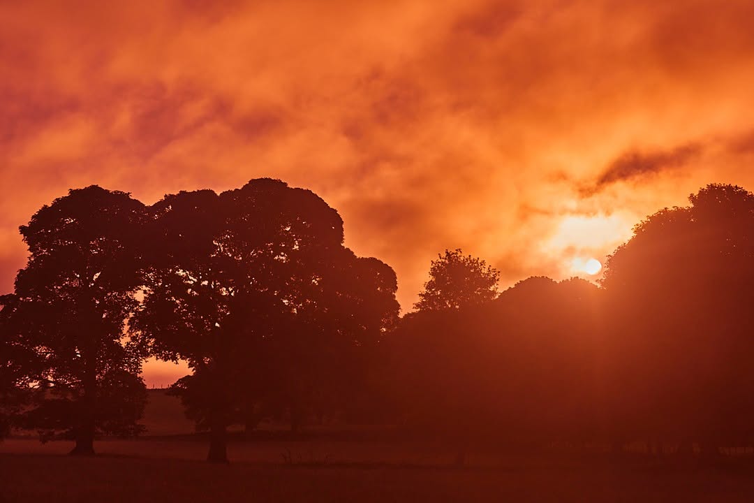 Work by Paul Plews, Fotógrafo, in Londres
