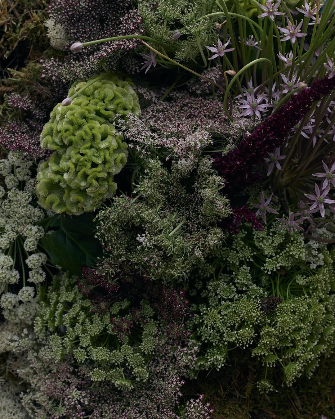 Work by Niamh Hejsak, Illustrator, in Londen