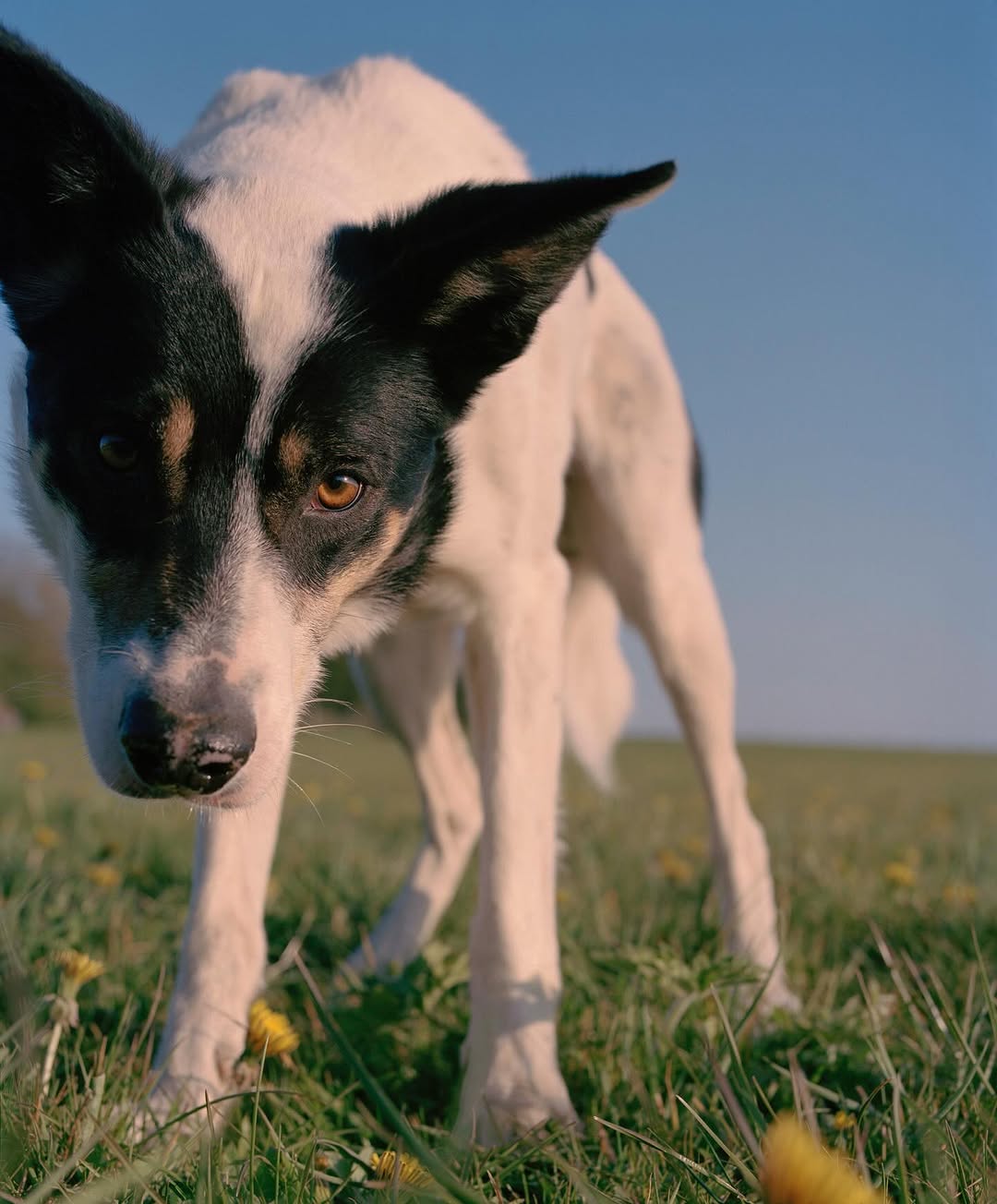Work by Thomas Duffield, Fotógrafo, in Londres